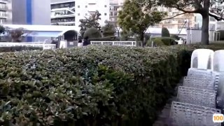 香港成人经典磁力视频- 高清在线观看